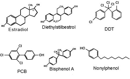 chemical formulae of endocrine disruptors
